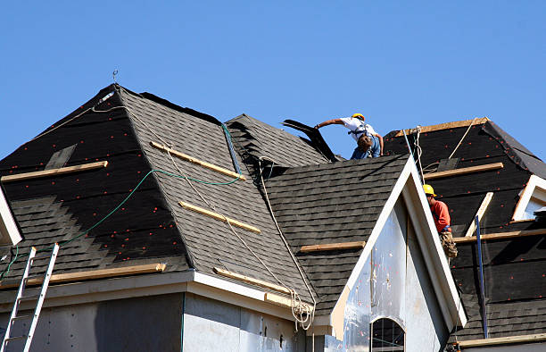 Best Roof Gutter Cleaning  in Pleasanton, KS