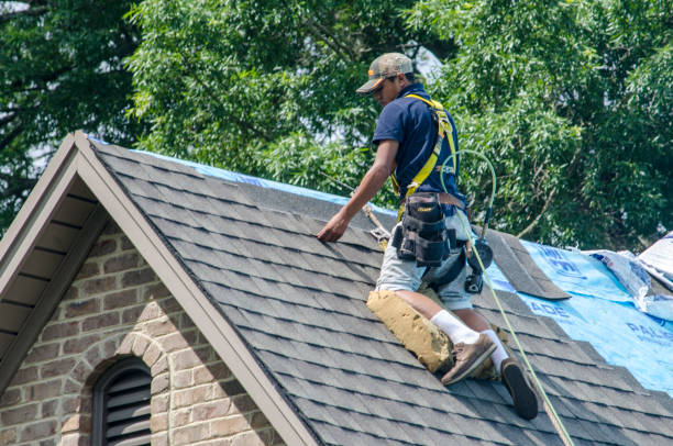 Best Roof Waterproofing Services  in Pleasanton, KS